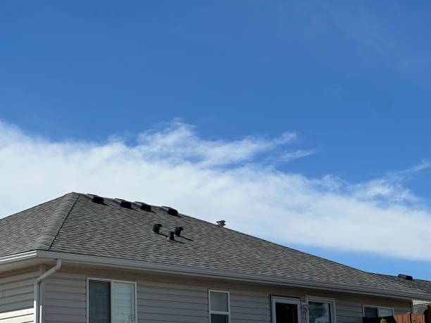Best Steel Roofing  in Arlington Heights, PA